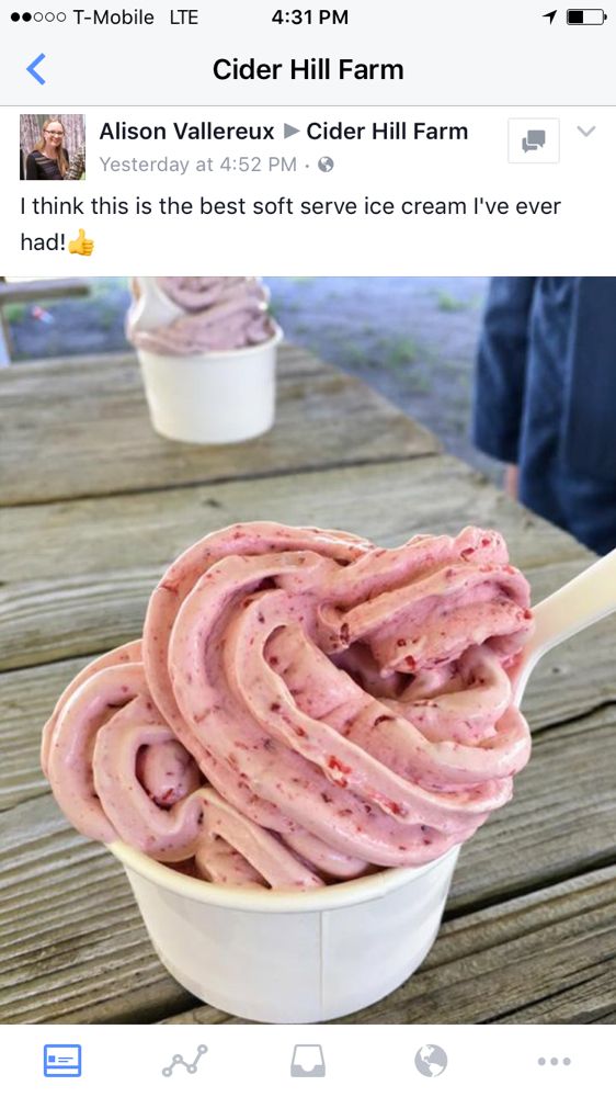 THE PITCHFORK 45 Fern Ave, Amesbury, Massachusetts Ice Cream