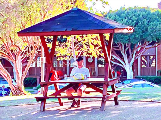 Douglas Park by null