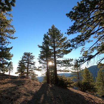 Mount Lewis Via Dawson Saddle - Hiking Near Me - Azusa, California