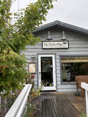 Oystercatcher by null