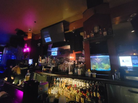 The Blue Light by null