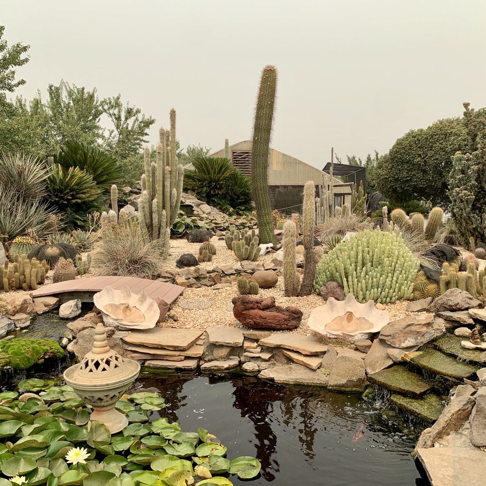 Poot's Cactus Nursery - Nurseries & Gardening Near Me - Ripon, California Poot's Cactus Nursery - Nurseries & Gardening Near Me - Ripon, California