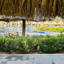 Windbliss Travel - 1 of 5 swimming pools located at Riu Resort Cabo San Lucas