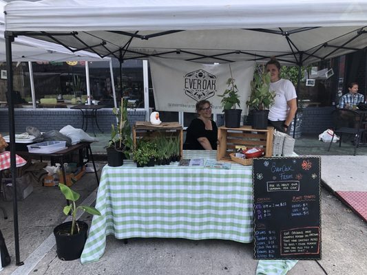 Audubon Park Community Market by null