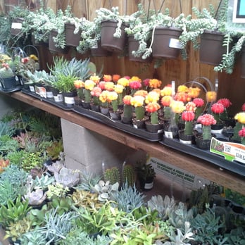 The Home Depot - The Home Depot Garden Center, Tracy, CA. - Hardware Stores Near Me - Tracy, California