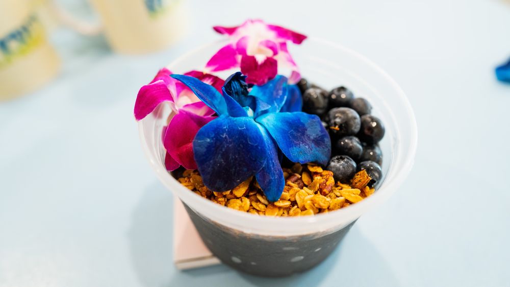 BLKBERRY JUICE BAR Updated September 2024 11 Photos 1213 N 29th