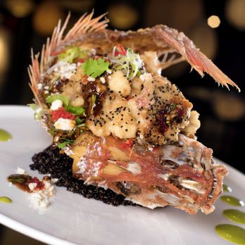 Jia - Asian Fusion Near Me - Biloxi, Mississippi Jia - Asian Fusion Near Me - Biloxi, Mississippi