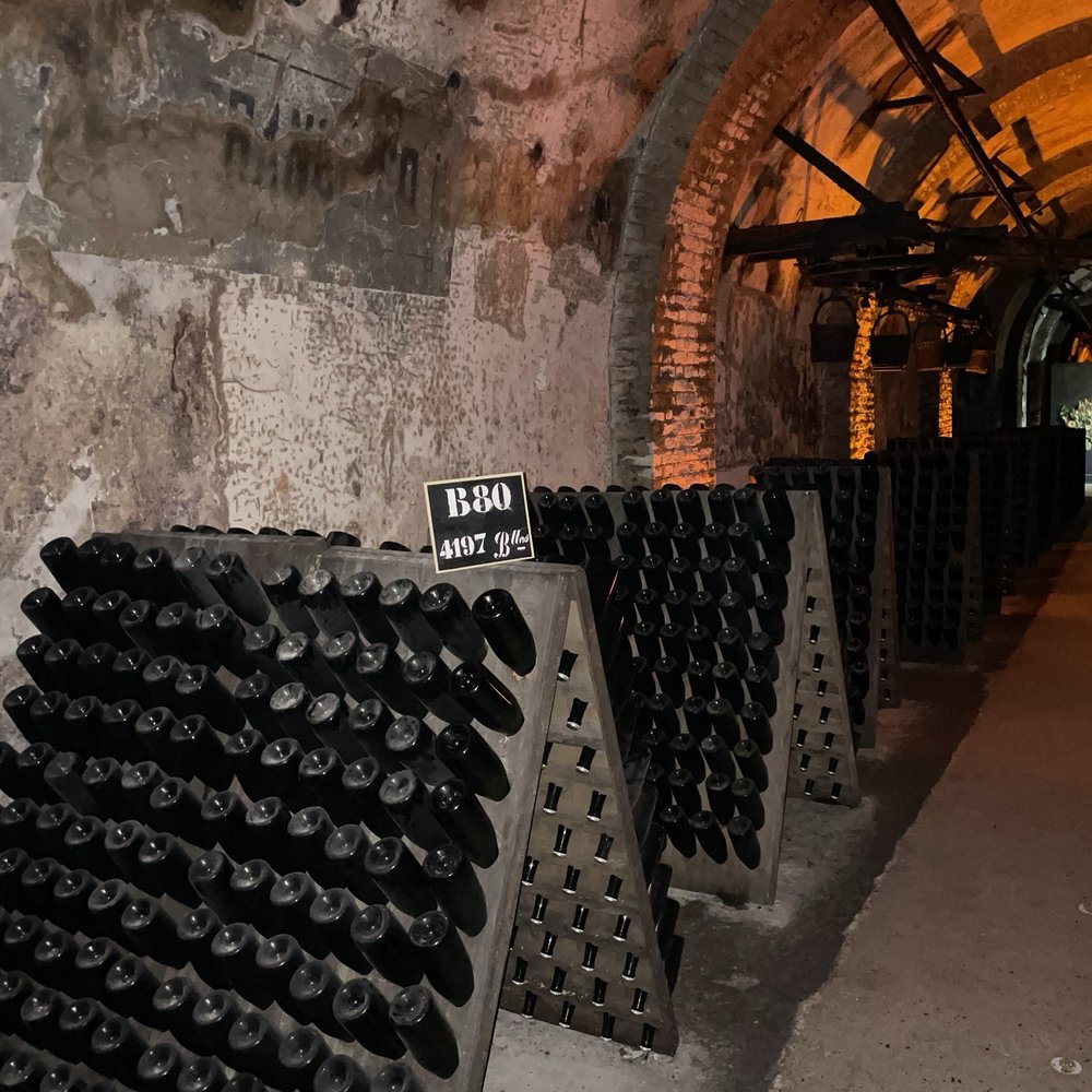 Champagne Pommery - Wineries Near Me - Reims, 51