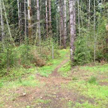 Soapstone Lake Trail - Trailhead at the west end of a small gravel area off the road. - Hiking Near Me - Seaside, Oregon Soapstone Lake Trail - Trailhead at the west end of a small gravel area off the road. - Hiking Near Me - Seaside, Oregon