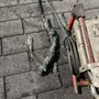 Photo of Magical Plumbing & Septic