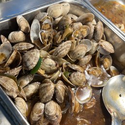 Clams