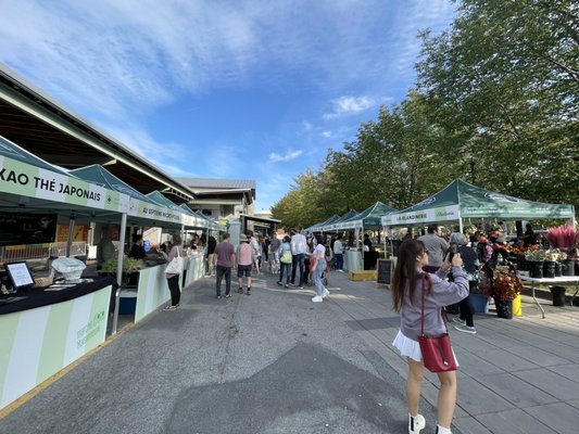 Maisonneuve Market by null