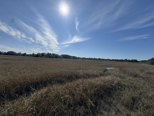 Charles Towne Landing State Historic Site by null