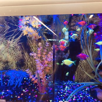 PetSmart - Pet Training Near Me - Walnut Creek, California PetSmart - Pet Training Near Me - Walnut Creek, California
