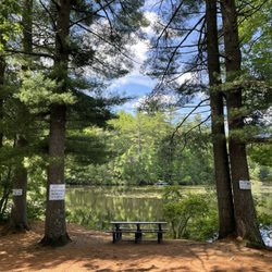 New Gloucester Fairgrounds - Picnic area next to boat put-in