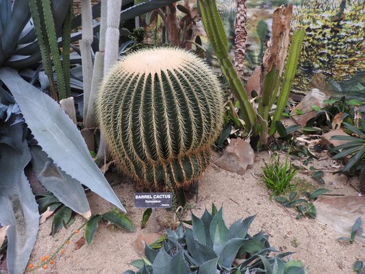 Rockefeller Park & Greenhouse by null