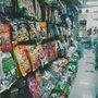 Pets Eleven Pets Shop