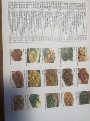 Menu photo 1 Sizzling Wok Cincinnati, OH