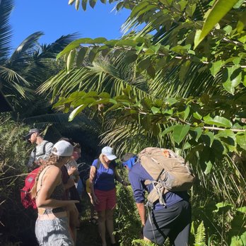Hike Maui - Our guide teaching us about the island botany - Tours Near Me - Kahului, Hawaii Hike Maui - Our guide teaching us about the island botany - Tours Near Me - Kahului, Hawaii