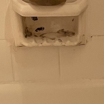 Cheverly Station - Mold in bathroom - Apartments Near Me - Cheverly, Maryland Cheverly Station - Mold in bathroom - Apartments Near Me - Cheverly, Maryland