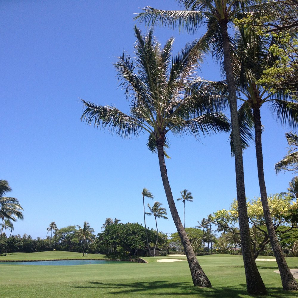 Waialae Country Club - 1/11/17 beautiful day today - Golf Near Me - Honolulu, Hawaii