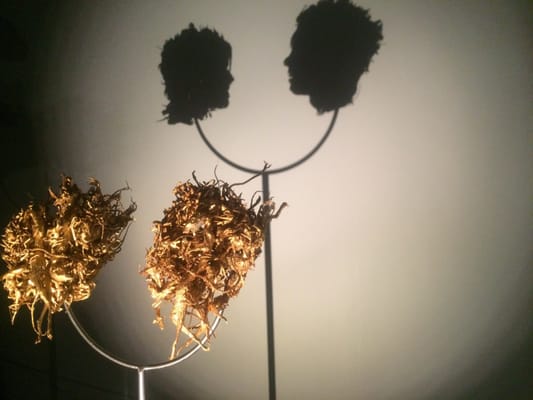 Art Gallery of South Australia by null