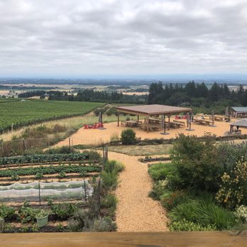 Brooks Wine - View from balcony - Wineries Near Me - Amity, Oregon