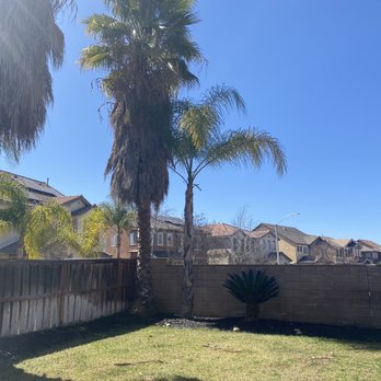 Ortega's Jr Tree Service - Tree Services Near Me - Riverside , California