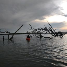 the Boneyard near Sunset. the Boneyard near Sunset.