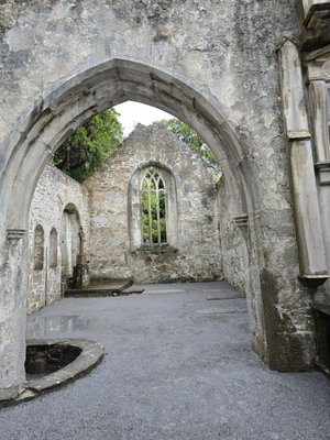 Muckross Abbey by null