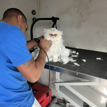 Showered Pets Mobile Grooming - Pet Groomers Near Me