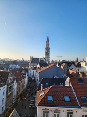 Warwick Brussels by null