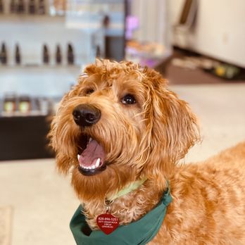 Natural Elements Of NC - Pet Oil or Pet Treats! All natural - Vitamins & Supplements Near Me - Lenoir, North Carolina Natural Elements Of NC - Pet Oil or Pet Treats! All natural - Vitamins & Supplements Near Me - Lenoir, North Carolina
