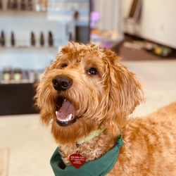 Natural Elements Of NC - Pet Oil or Pet Treats! All natural
