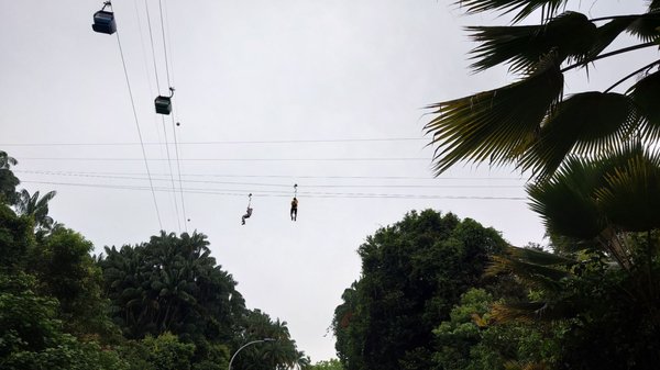 Mega Adventure - Singapore by null