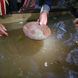 Gold Panning
