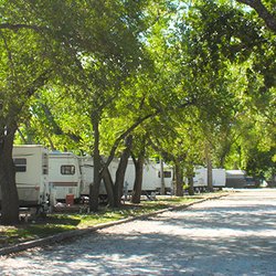 Deer Grove Rv Park - The tree canopy coming down the main drive.