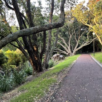 The Auckland Domain - Parks Near Me - Auckland, AUK The Auckland Domain - Parks Near Me - Auckland, AUK