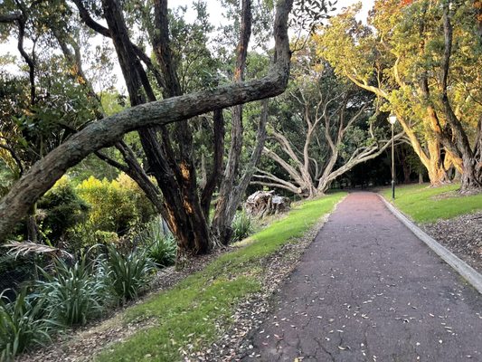 Auckland Domain by null