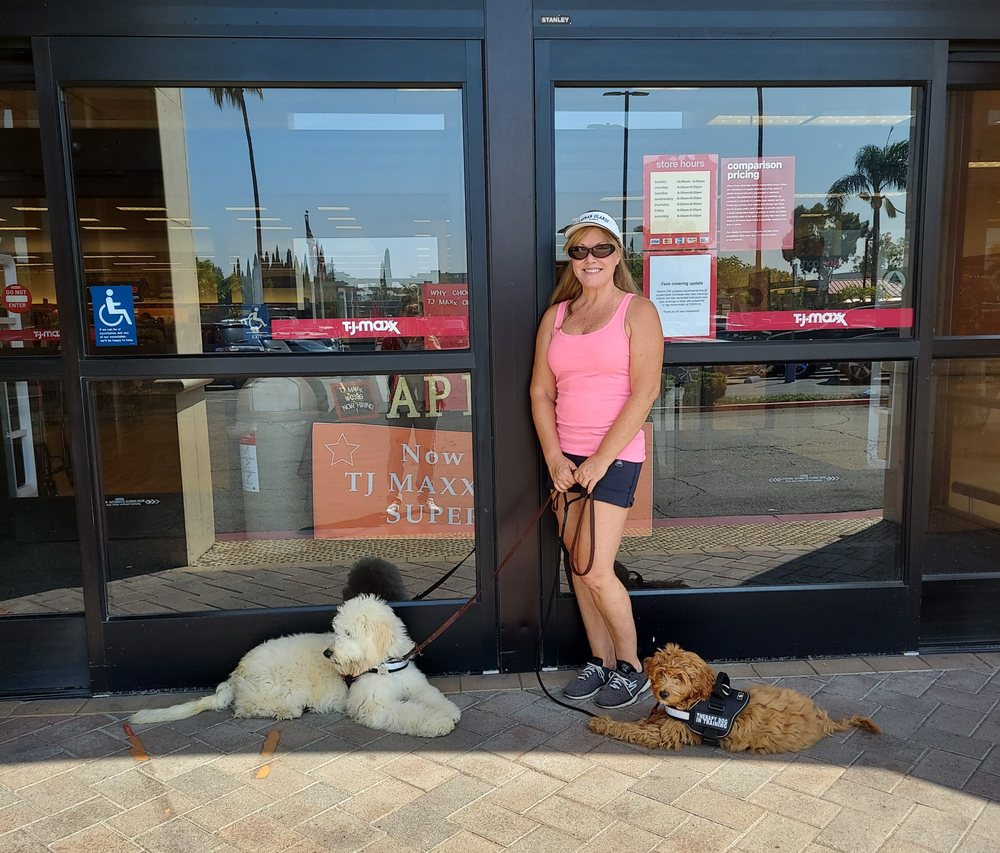 Praise Dog Training - pet boarding facility in Knoxville, TN
