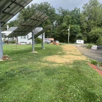 Upland Timber Tree Service - Area after re-seeding grass-back yard view - Tree Services Near Me Upland Timber Tree Service - Area after re-seeding grass-back yard view - Tree Services Near Me
