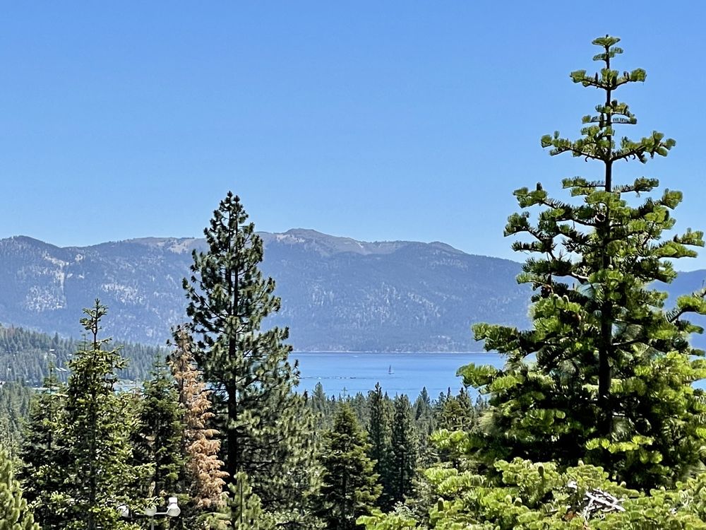 TAHOE VISTA TREETOP ADVENTURE PARK 250 Photos & 185 Reviews 6600