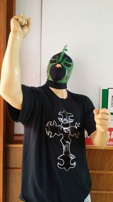 MULLME Museo de La Lucha Libre Mexicana by null