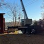 Photo of Woodworx Tree Removal