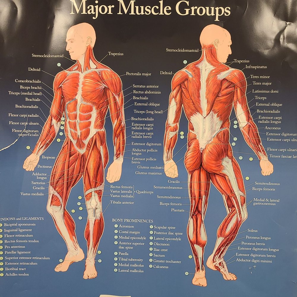Grote Walter R DO - Internal Medicine Near Me - Columbia, New Jersey Grote Walter R DO - Internal Medicine Near Me - Columbia, New Jersey