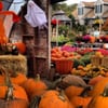 Village Green Nurseries gift card