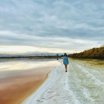 Alviso Marina County Park - Parks Near Me - Alviso, California