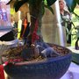 Photo of Dragon House Chinese Restaurant