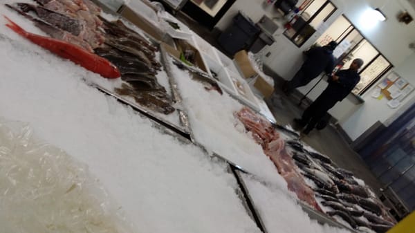 Los Angeles Fish Co by null