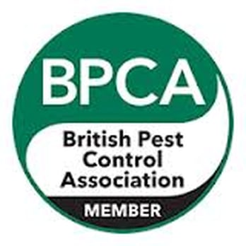TP Pest Control Services - Pest Control Near Me - Poole, POL